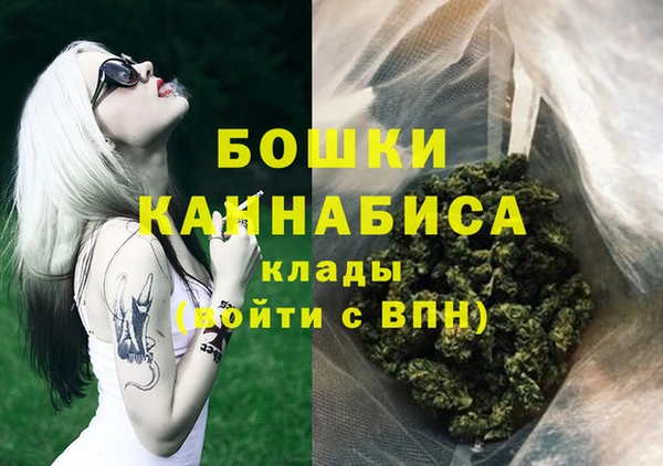 шишки Балабаново