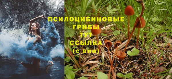 шишки Балабаново
