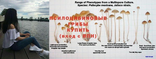 гидра Баксан